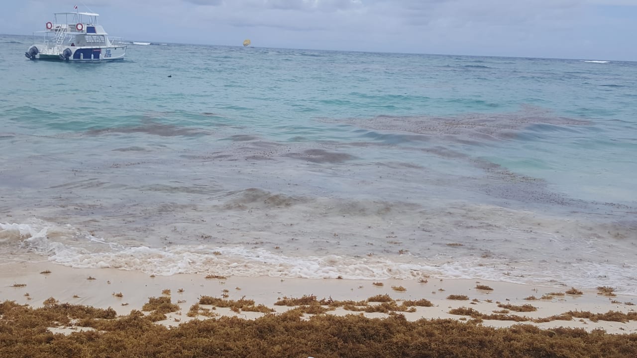 Strand Hotel Riu Palace Bavaro