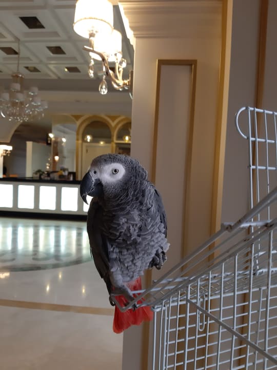 Lobby J'adore Deluxe Hotel & Spa