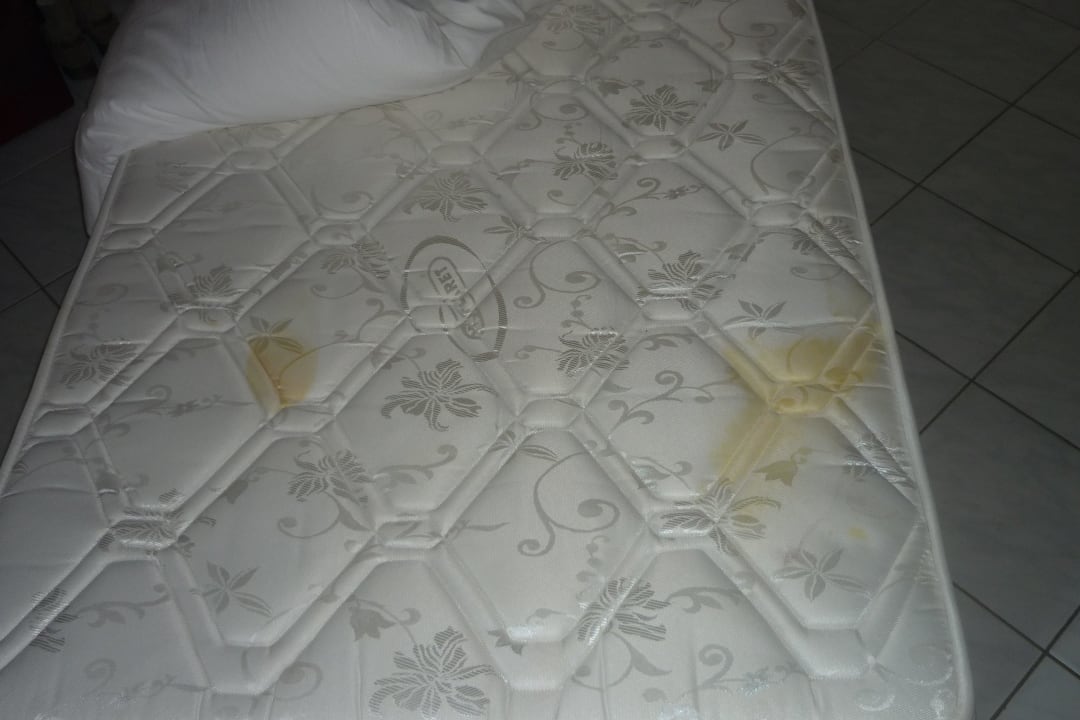 Matratze Kamelya Aishen Club