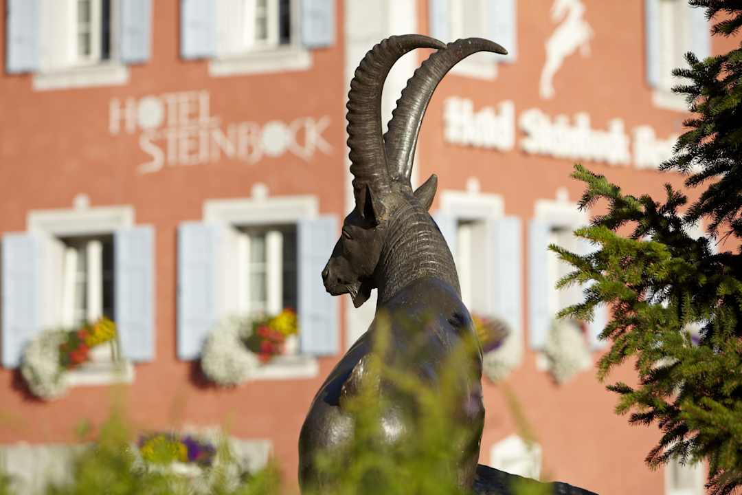 Aussenansicht Frühling Hotel Steinbock Pontresina