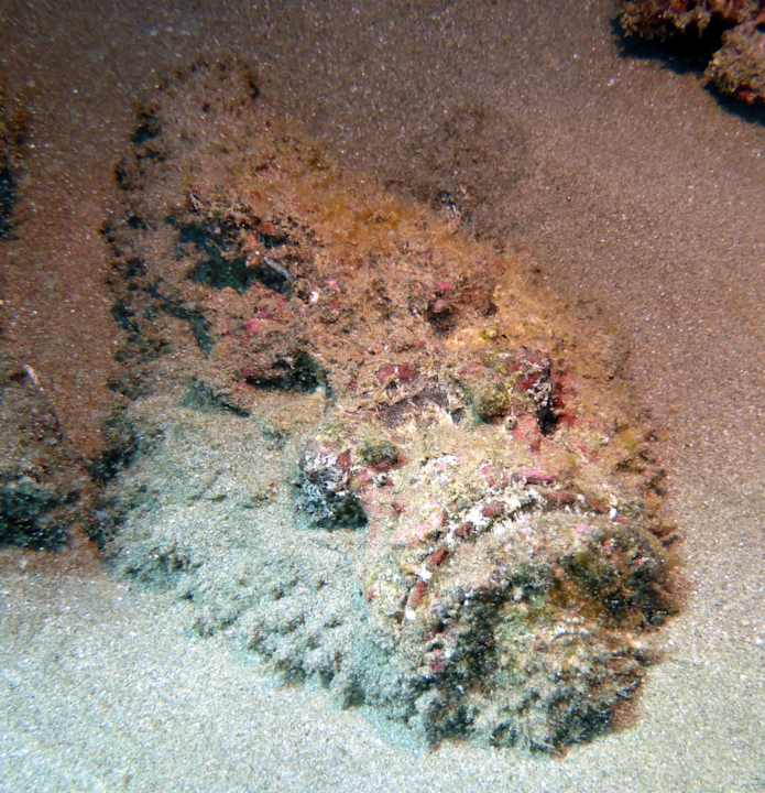 Sonstiges Three Corners Equinox Beach Resort