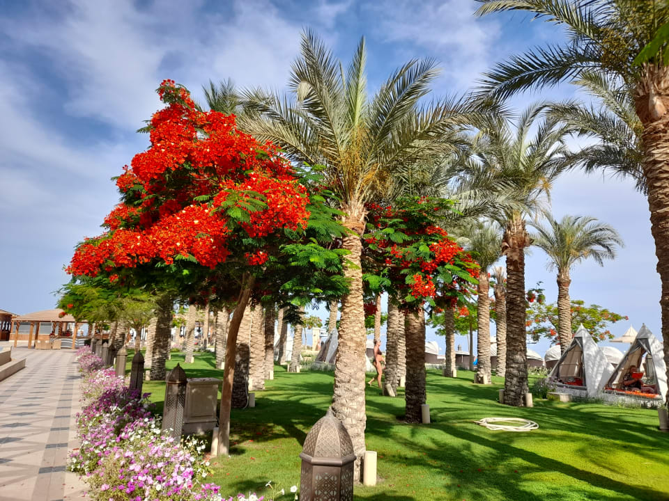 Gartenanlage The Grand Palace - Adults only