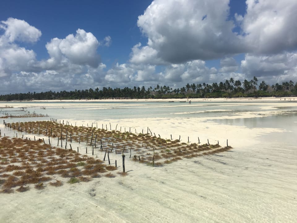 Strand Neptune Pwani Beach Resort & Spa