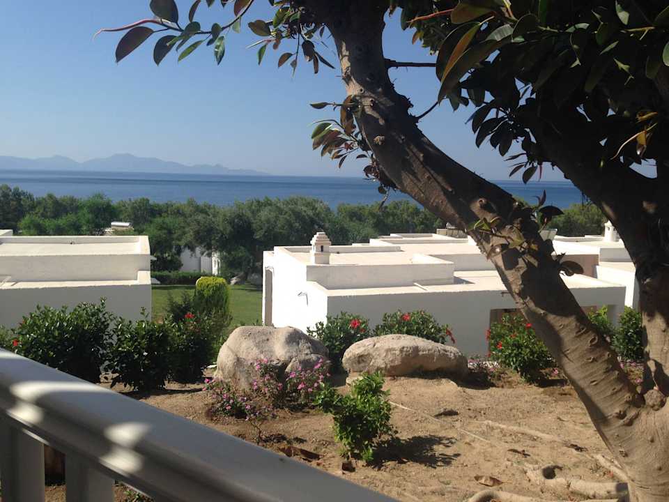 Ausblick Dimitra Beach Hotel & Suites