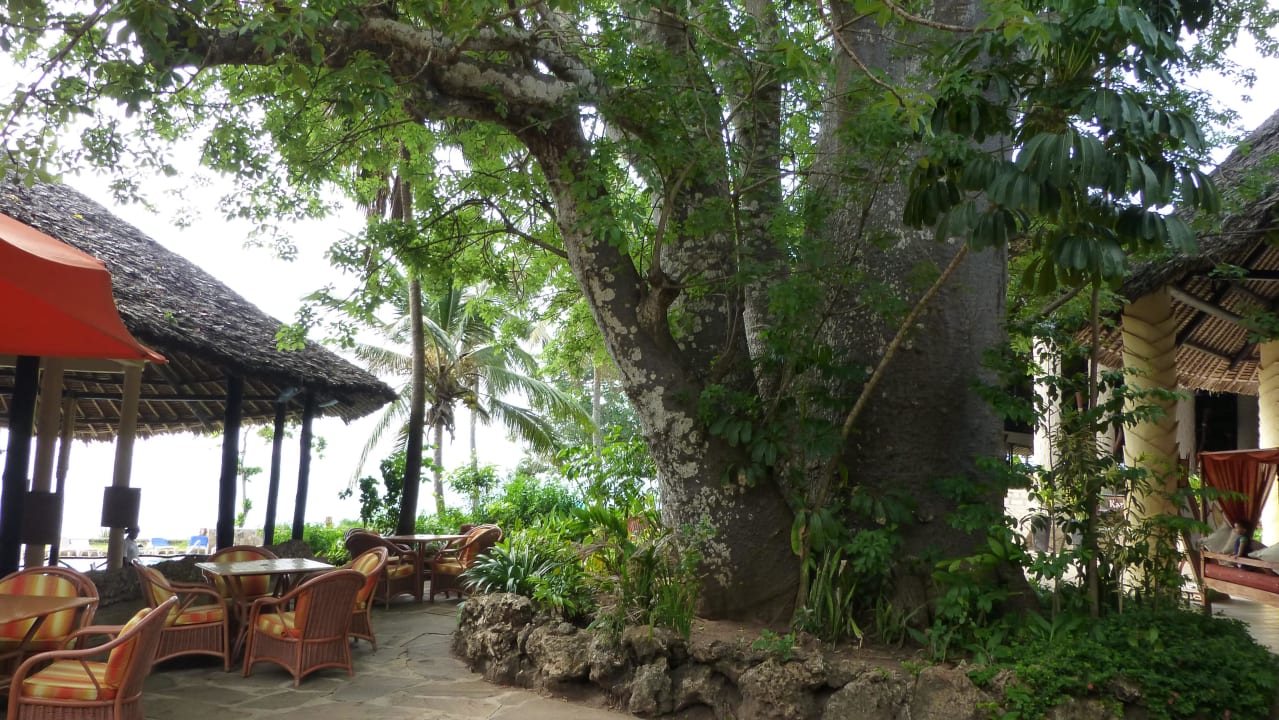 Wunderschön alter Baumbestand Baobab Beach Resort & Spa