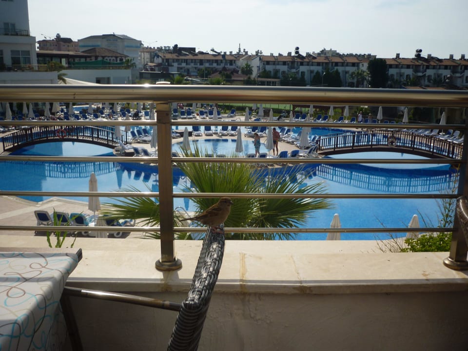 Von der Terrasse auf den Pool Side Prenses Resort & Spa