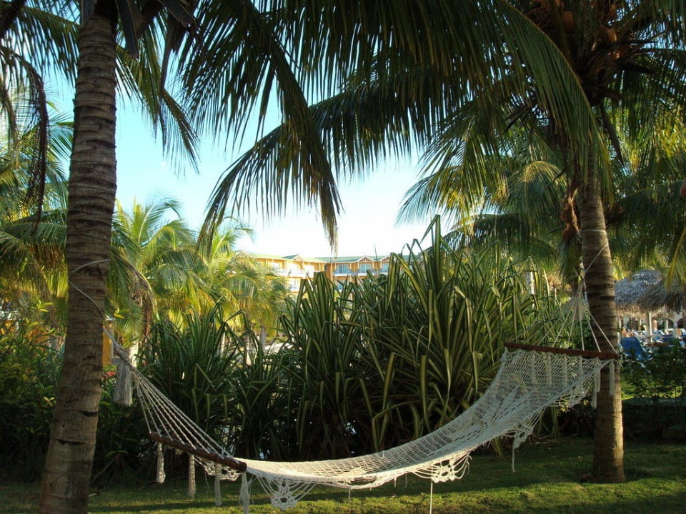 Hängematten zum Relaxen Melia Las Antillas - Adults only