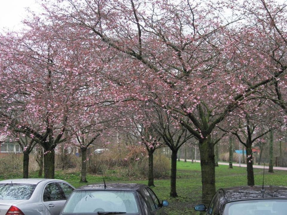 11. Ansicht Garner Hotel Bremen North by IHG