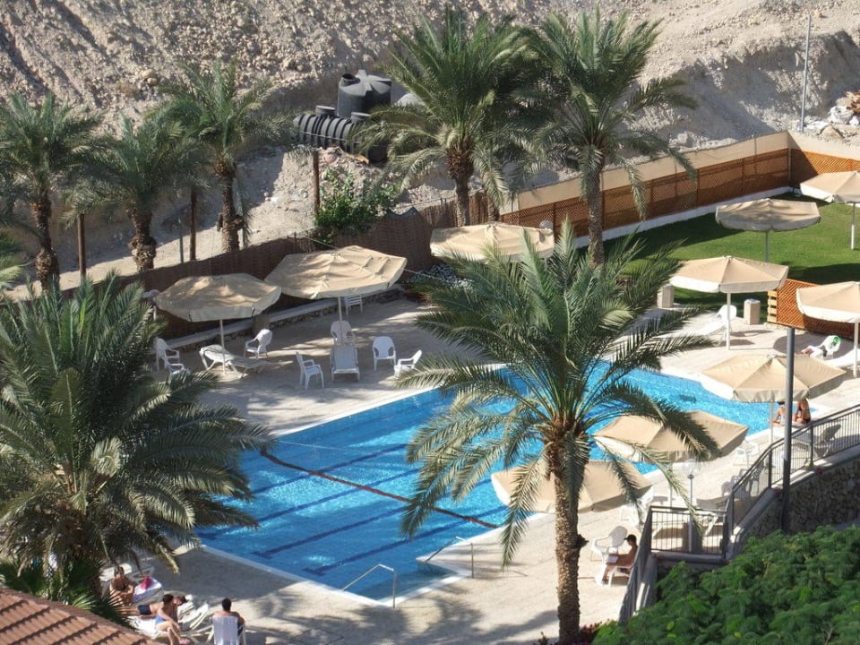 Pool Hotel Oasis Dead Sea