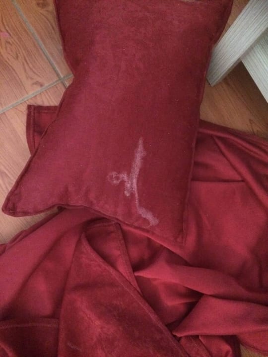 Kisten voller Wixxe Hotel Ideal Beach