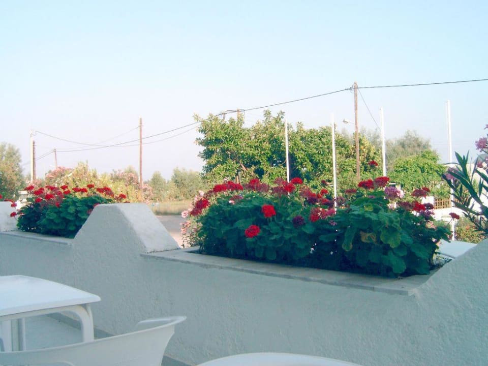 Terrasse Hotel Hermes