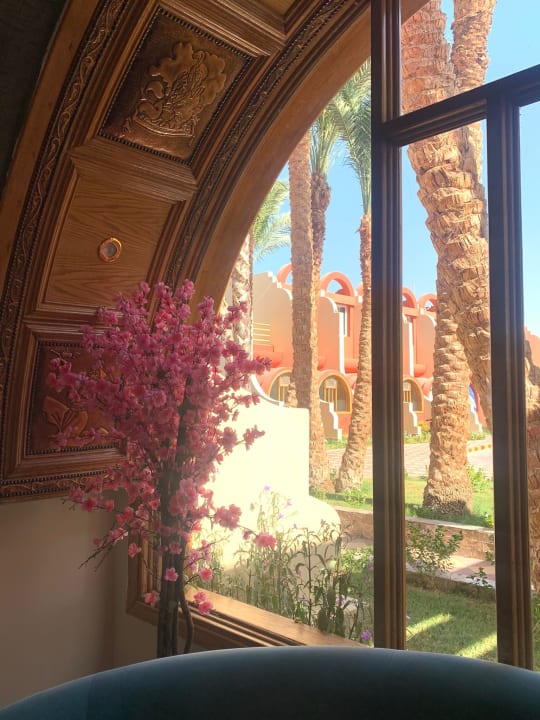 Ausblick Aladdin Beach Resort