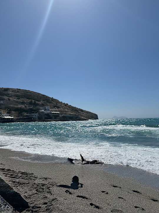 Strand Cactus Beach