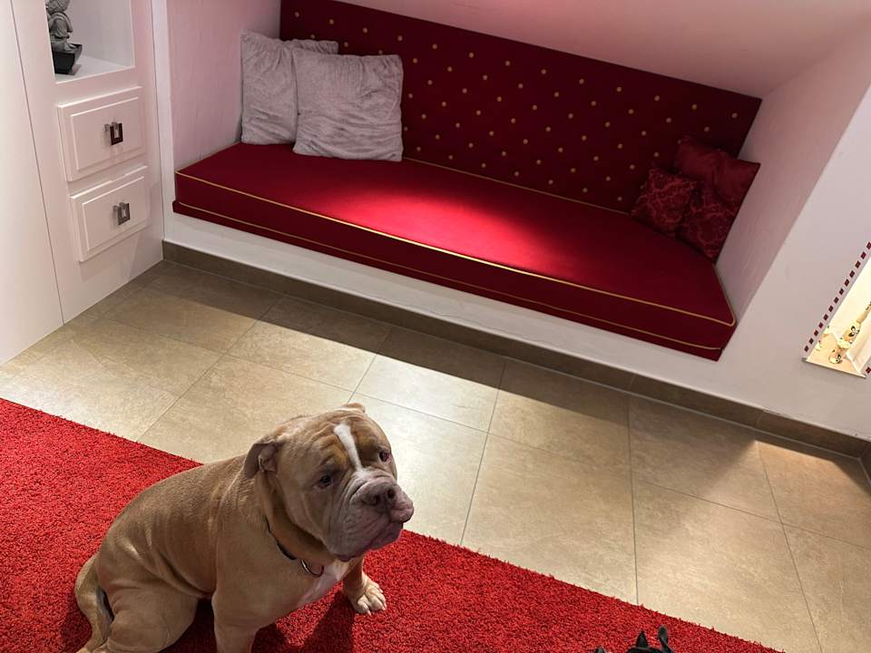 Zimmer Landhaus Celina - Panoramastall Roßberg