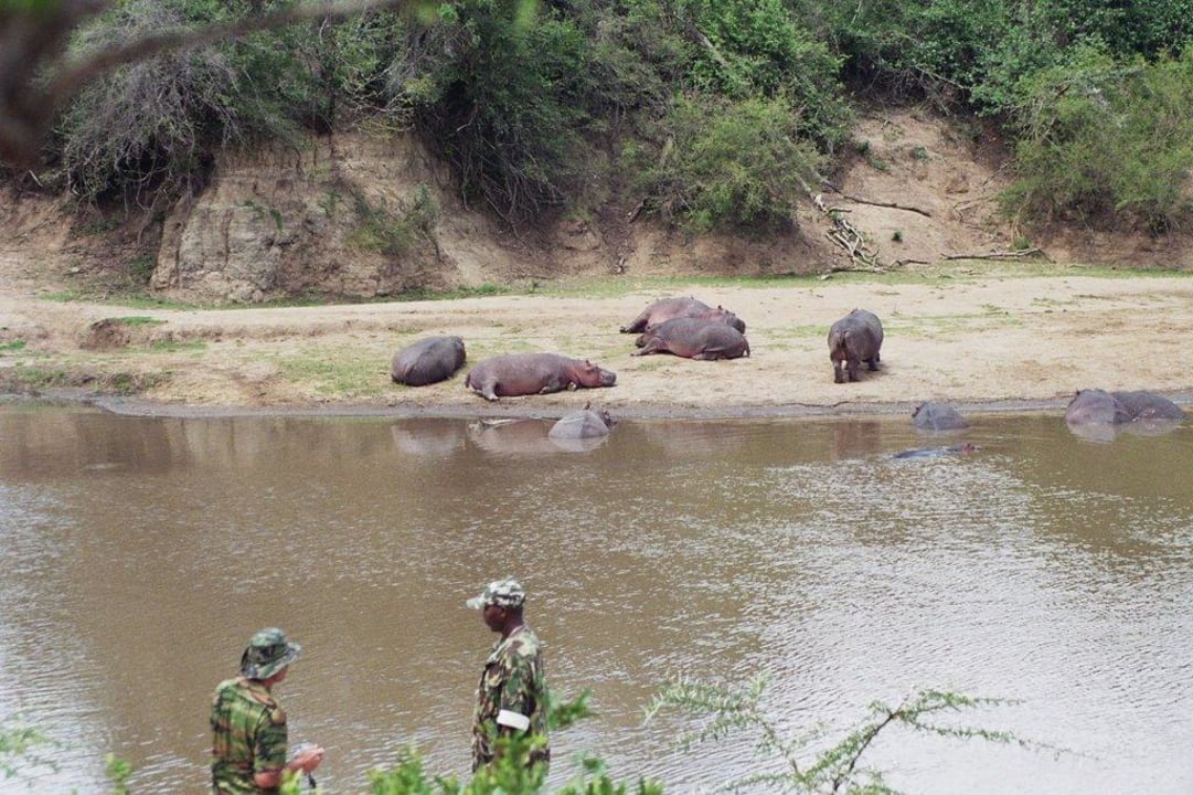 Hipos Royal Mara Safari Lodge