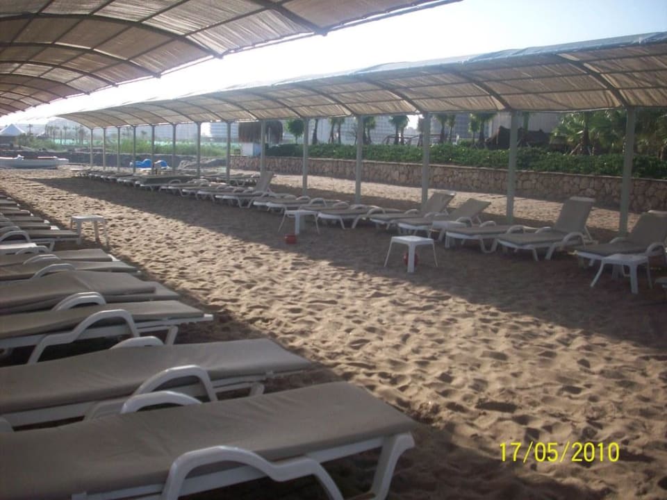 Liegen mit Sonnenschutz und Auflagen Saturn Palace Resort Hotel