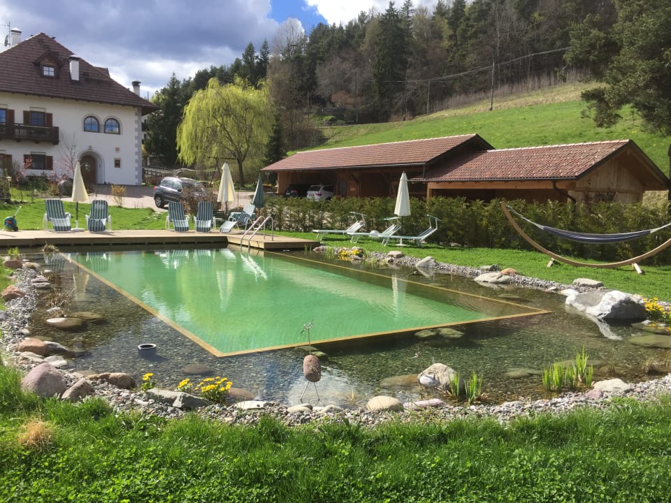 Pool Weidacherhof
