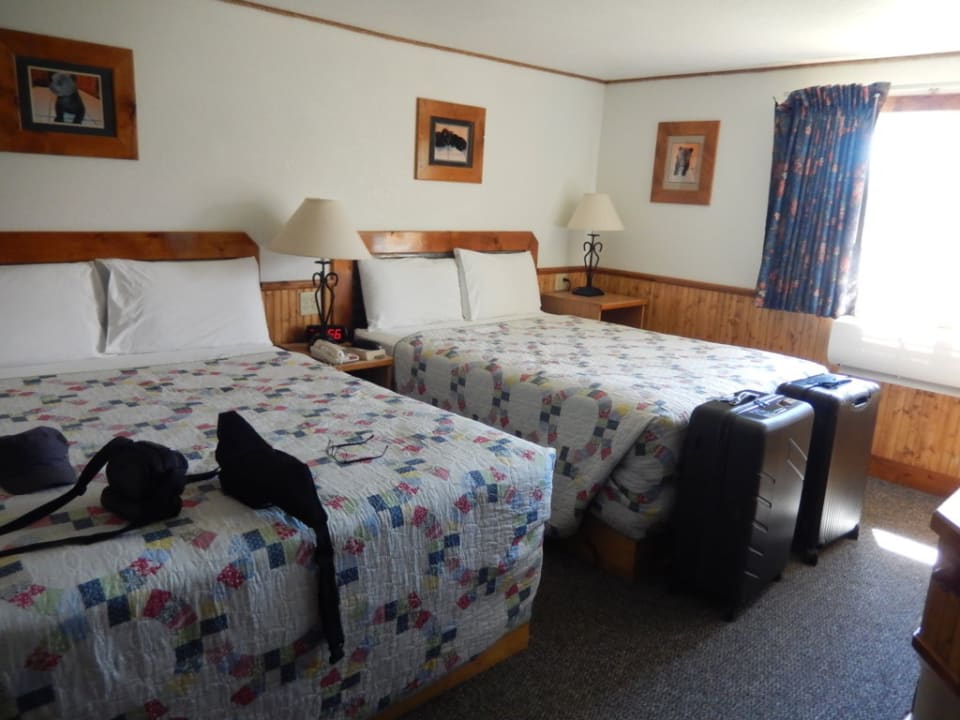 Zimmer The Livingston Inn