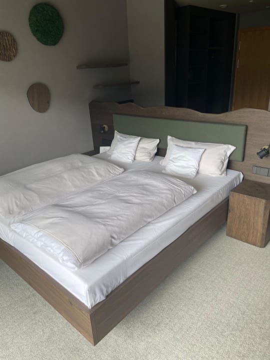 Zimmer Hotel Schwarzwald Panorama