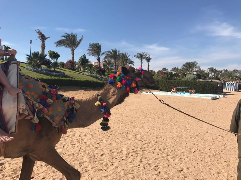 Strand Fantazia Resort Marsa Alam