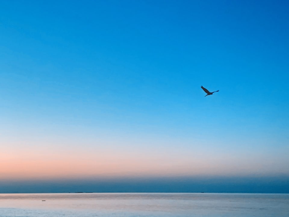 Ausblick Vilamendhoo Island Resort & Spa