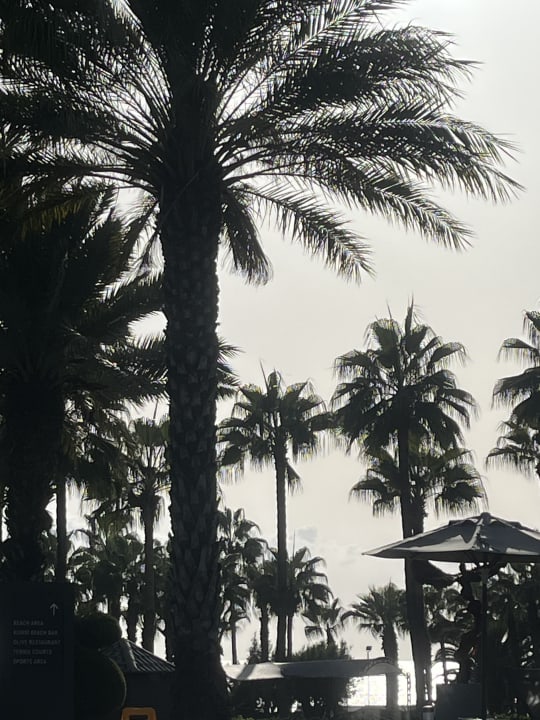 Ausblick Hotel Miramare Beach