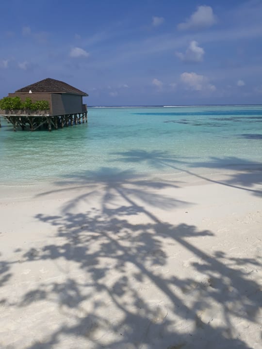 Strand Meeru Maldives Resort Island