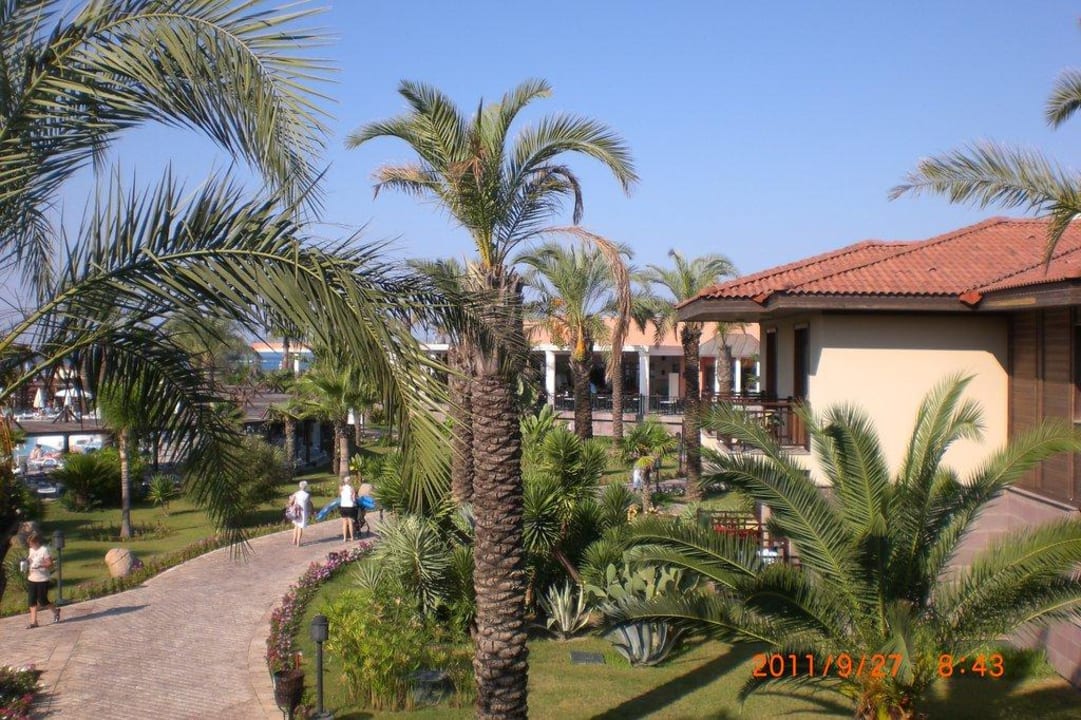 Ausblick vom Balkon in die Gartenanlage TUI BLUE Palm Garden