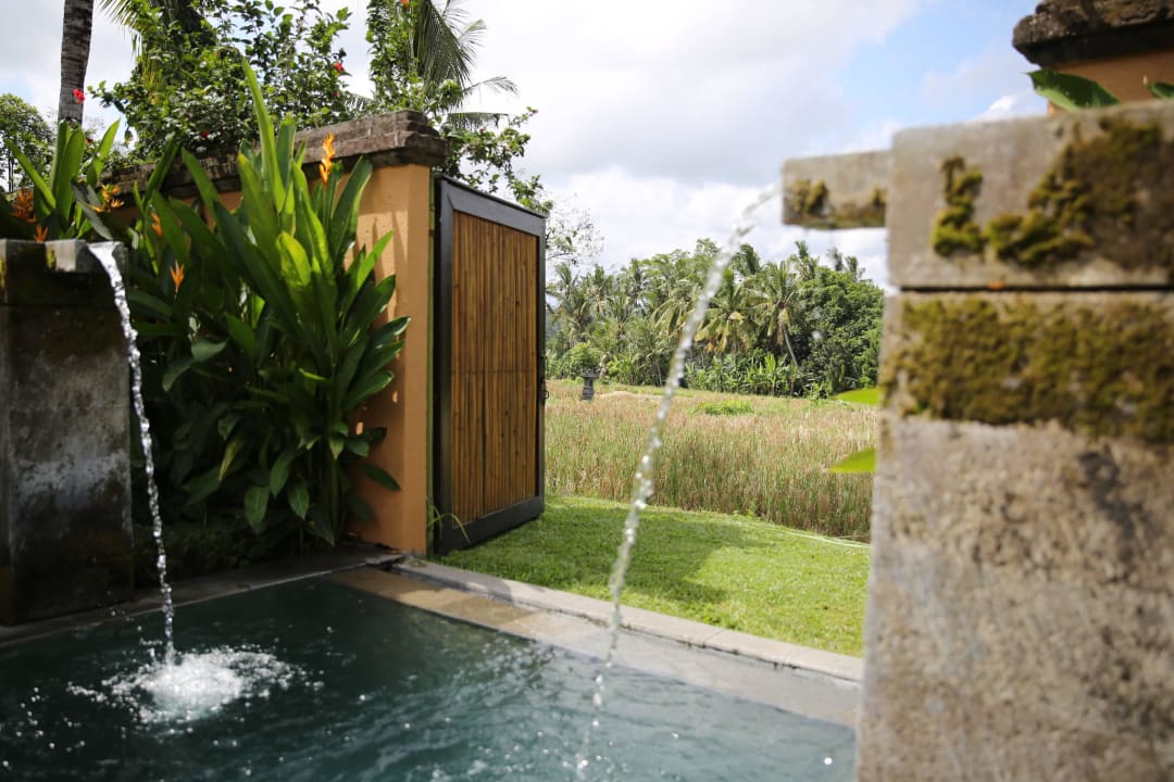 Blick vom Pool auf die Reisfelder Tanah Gajah, a Resort by Hadiprana