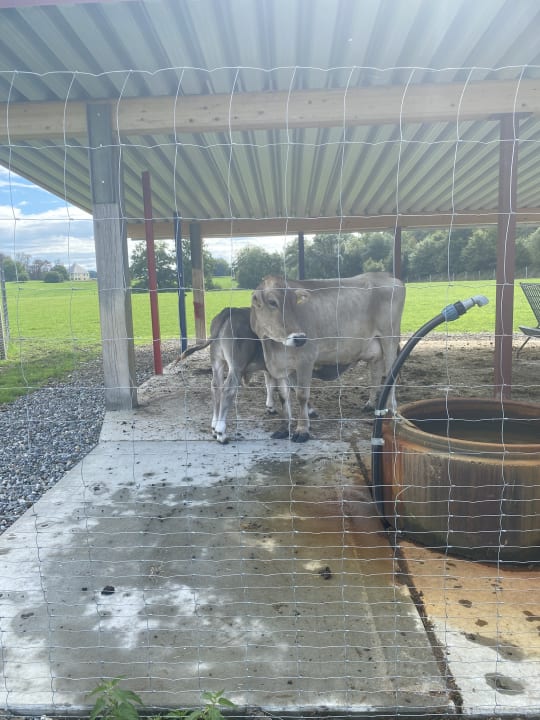 Sonstiges Hotel Hofgut Tiergarten