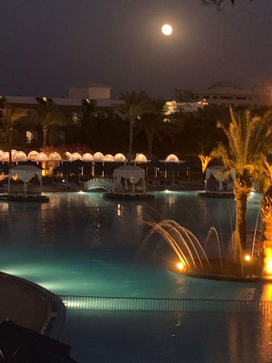 Ausblick Desert Rose