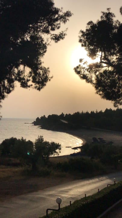 Ausblick Blue Dolphin Resort Hotel