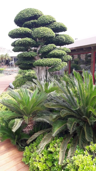 Gartenanlage Aquagrand Artistic Luxury Beach Resort - Adults only