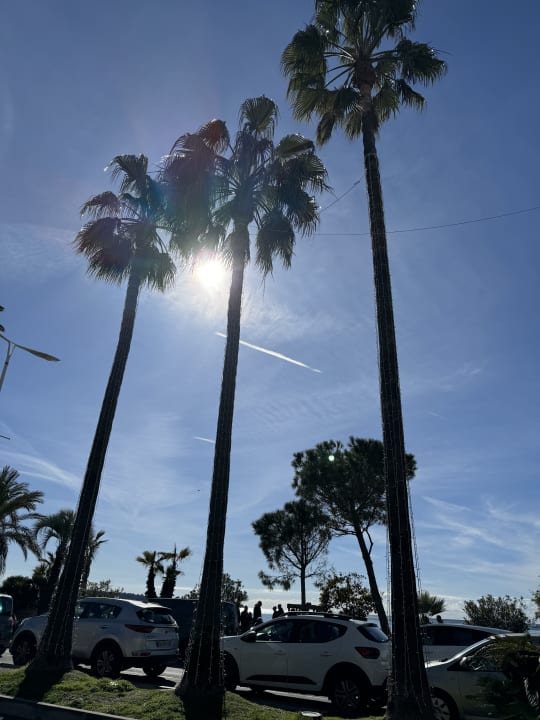 Gartenanlage Hotel JW Marriott Cannes