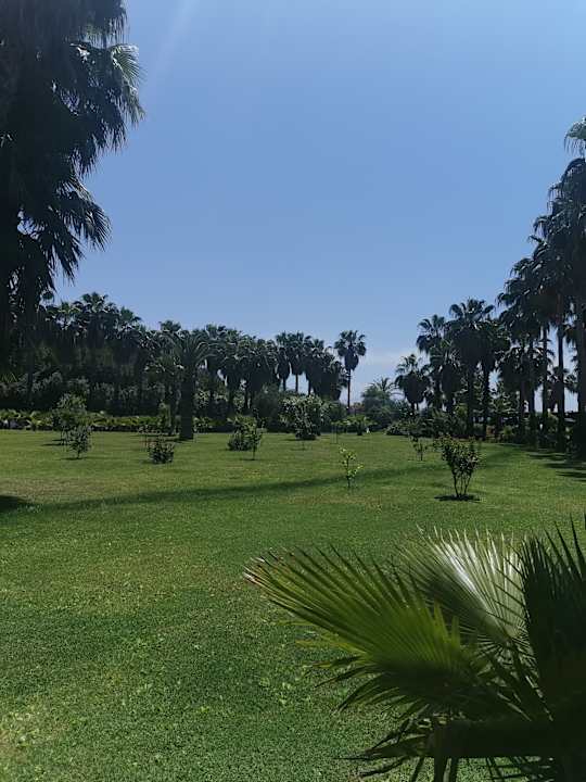 Gartenanlage Royal Atlantis Beach Hotel