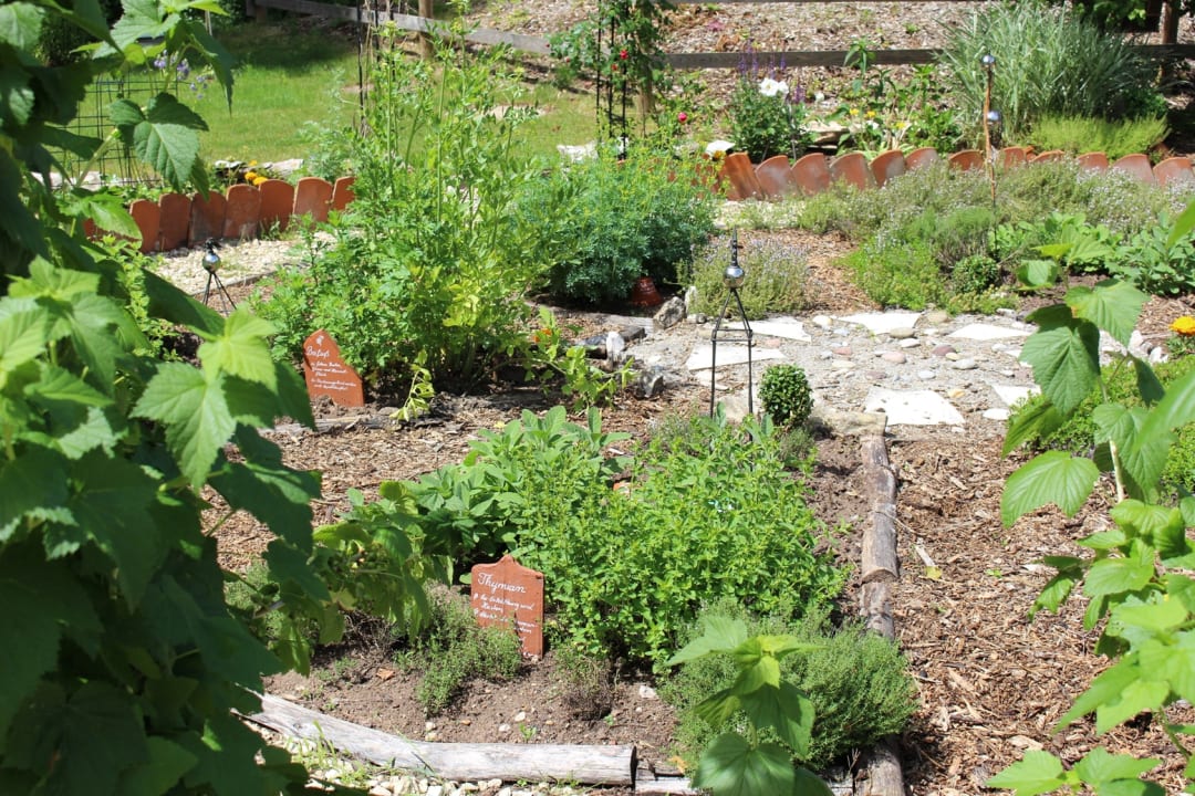 Gartenanlage Strandhotel Seehof