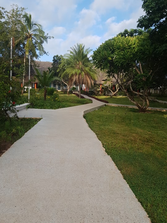 Gartenanlage Hotel Kiwengwa Beach Resort