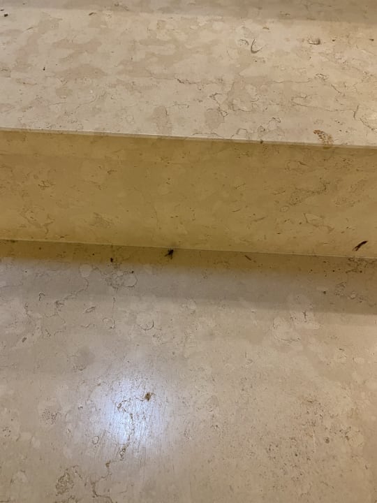 Zimmer Wald & Schlosshotel Friedrichsruhe