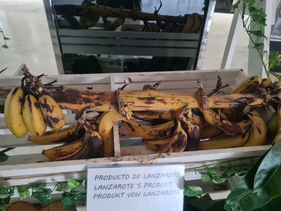 Gastro Beatriz Costa & Spa