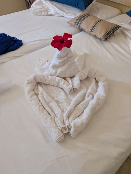 Zimmer Hotel El Borj