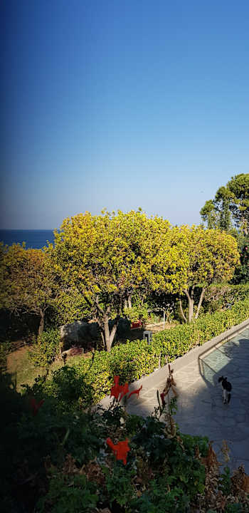 Ausblick Kresten Palace Hotel