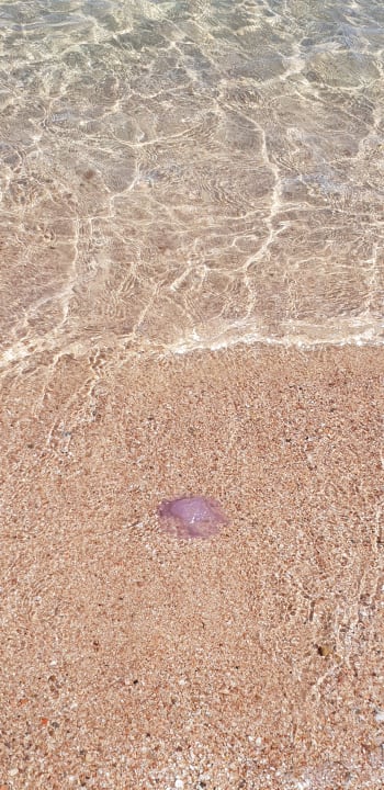 Strand Pickalbatros Dana Beach Resort - Hurghada