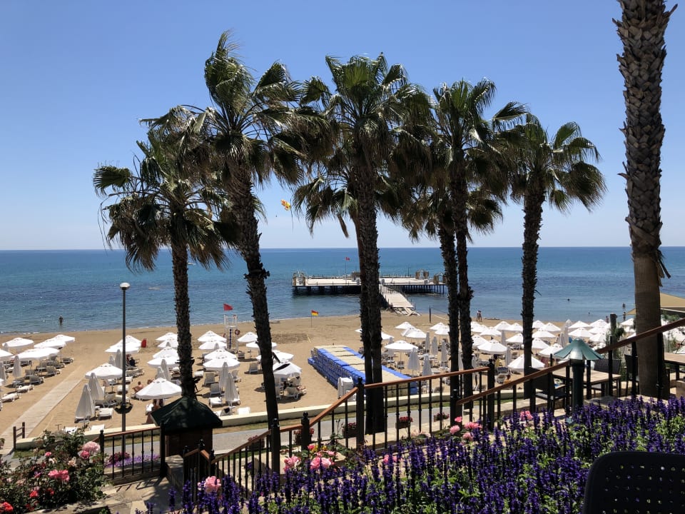 Strand Arum Barut Collection