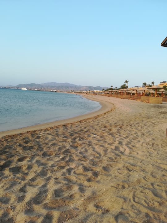 Strand Shams Prestige Abu Soma-Adults Only