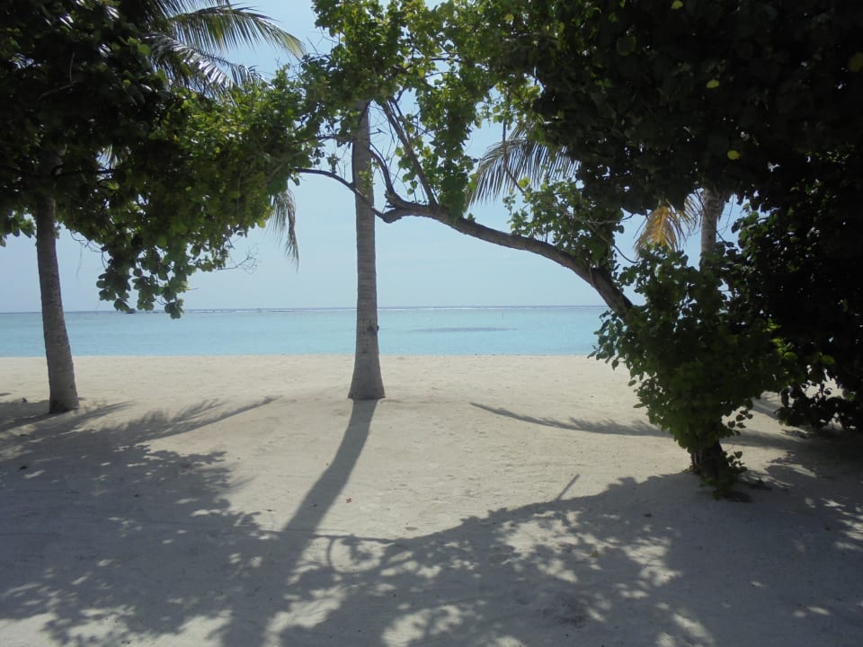 Ausblick Innahura Maldives Resort