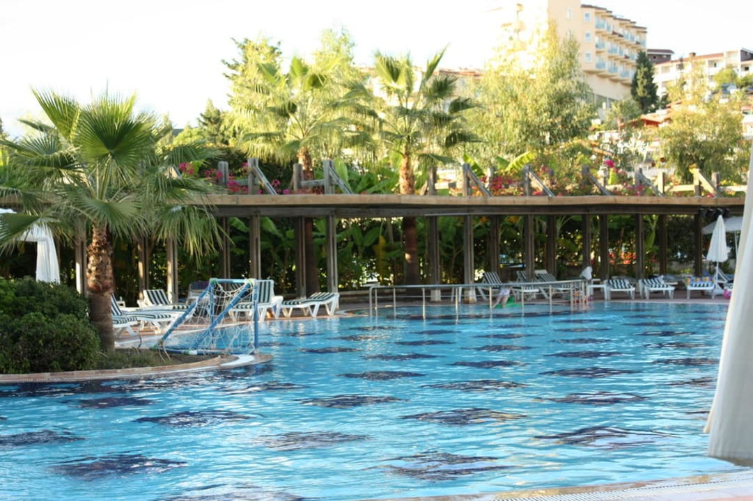 Ein Stück der Poolanlage Trendy Palm Beach (Adults Only, 16+)