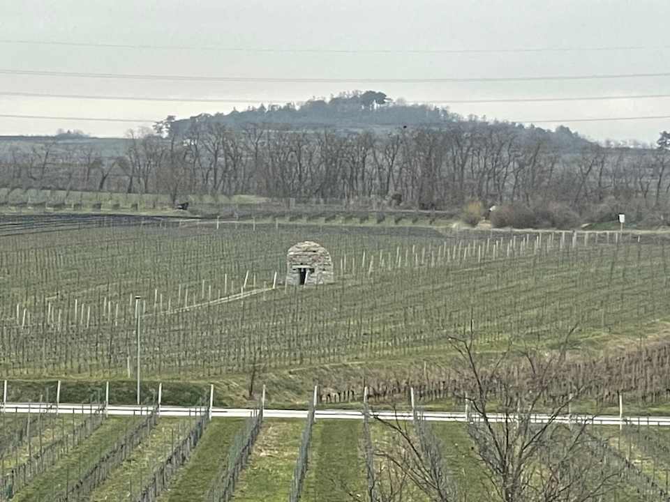 Ausblick LOISIUM Wine & Spa Hotel Langenlois