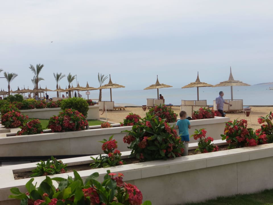 Sicht von der terrasse Beach Albatros Resort