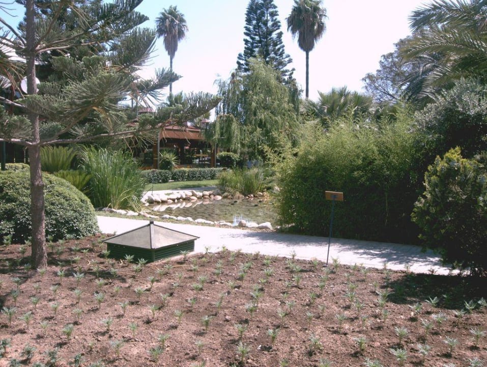 Die Anlage im Club Labranda Alantur Resort