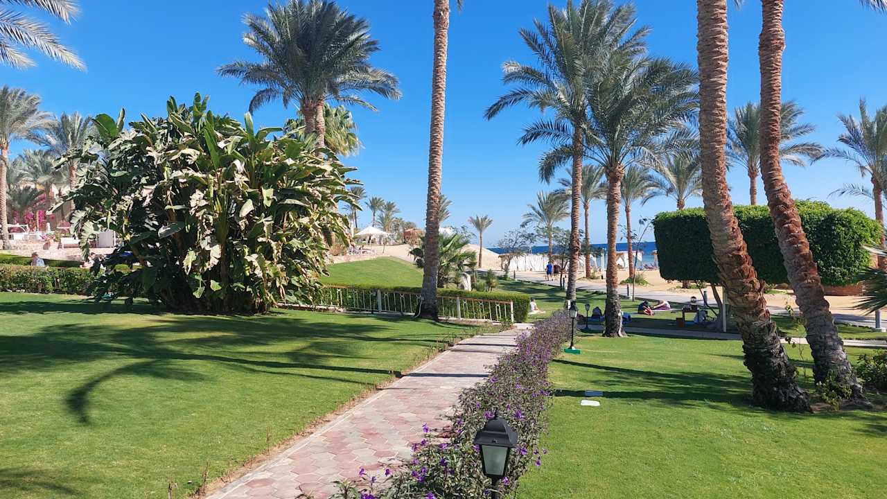 Gartenanlage Steigenberger Coraya Beach - Adults only